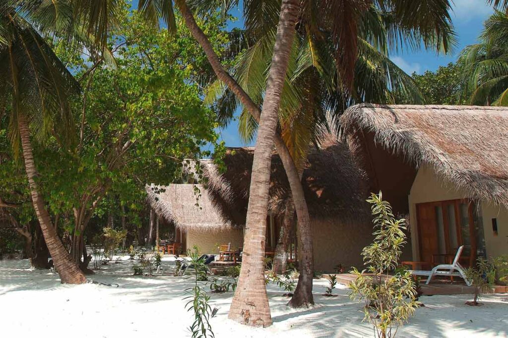 Hotel en Maldivas rodeado de palmeras, ideal para surfistas que buscan comodidad y olas perfectas.